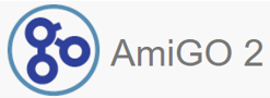 logo_ami_go