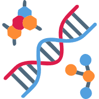 Full-length Transcriptome