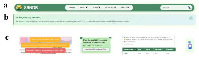 Fig.13 Navigation Bar and Common Features