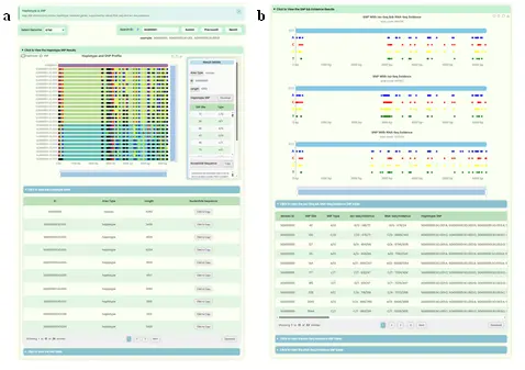 Fig.3 Haplotype & SNP Page